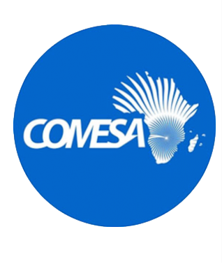 logo comesa partenaire ministère des finances de la république du congo rdc